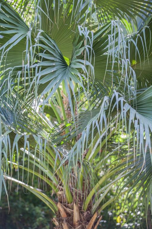 Cape Tribulation Holiday House Exterior photo